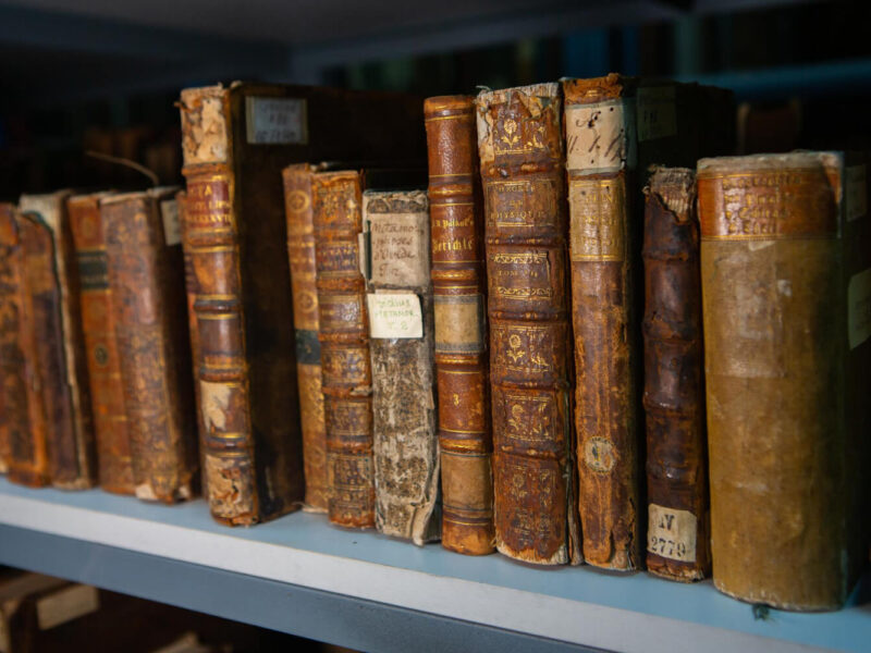 Jakie rodzaje usług oferuje profesjonalny introligator