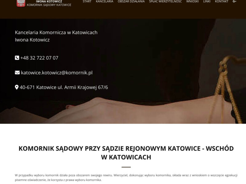 Pozorne zbycie majątku a przestępstwo – kryteria